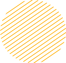 可以留电话的骚扰网站